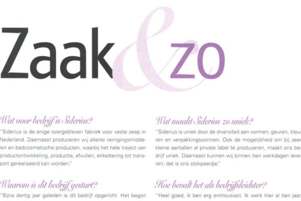artikel-zaak-en-zo1