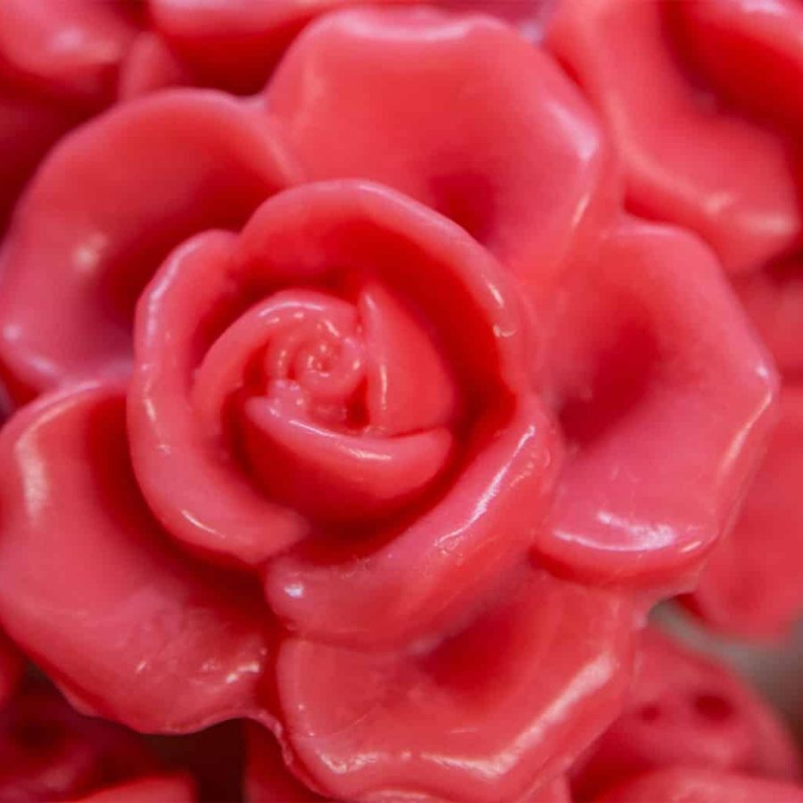gastenzeepjes-header